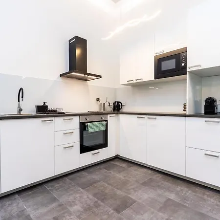 Lux Downtown Apartment